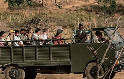 Canter Safari